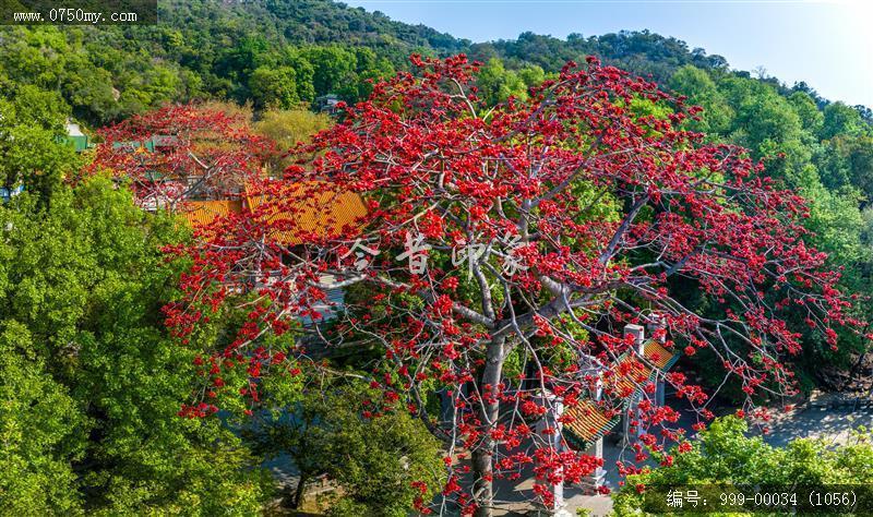 玉台寺_航拍,圭峰山,玉台寺