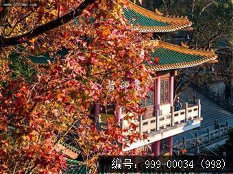 玉台寺
