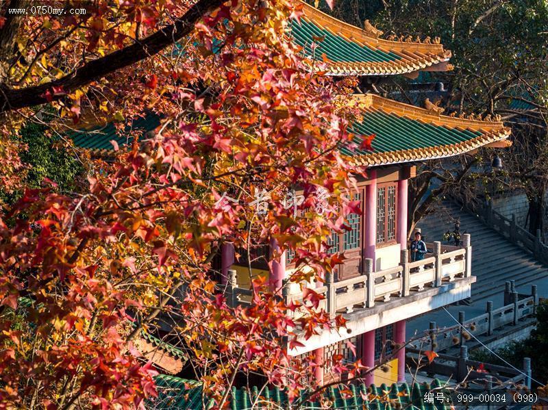 玉台寺_航拍,圭峰山,玉台寺