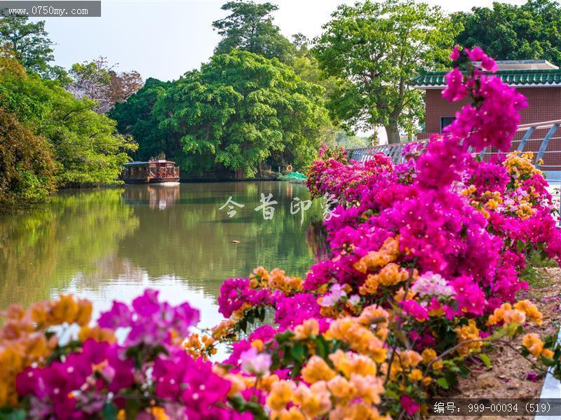 小鸟天堂_航拍,小鸟天堂,旅游民俗