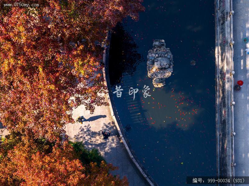 玉台寺_航拍,圭峰山,玉台寺