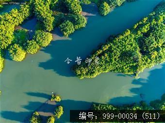 小鸟天堂