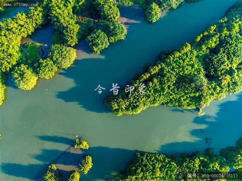 小鸟天堂_航拍,小鸟天堂,旅游民俗