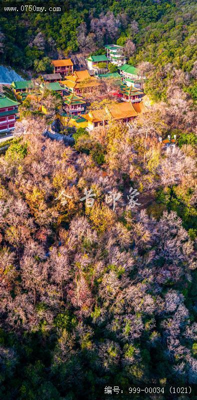 玉台寺_航拍,圭峰山,玉台寺