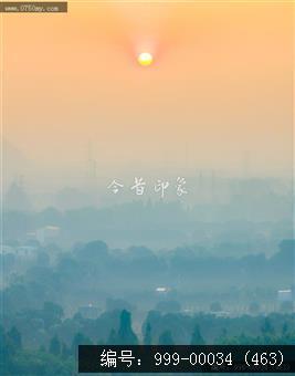小鸟天堂