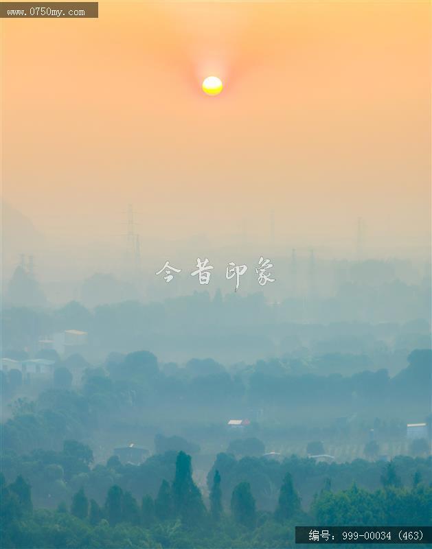 小鸟天堂_航拍,小鸟天堂,旅游民俗
