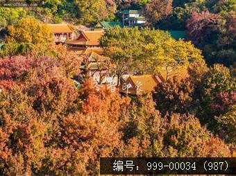 玉台寺