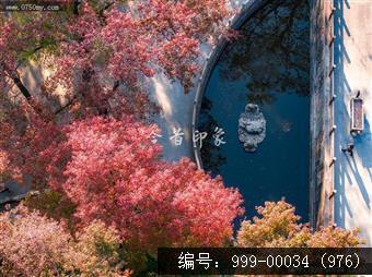 玉台寺