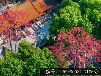 玉台寺