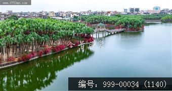 葵湖