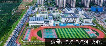 新会华侨实验小学