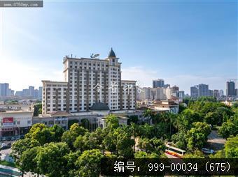 枢纽新城