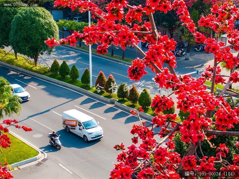 冈州广场_航拍,城市景色