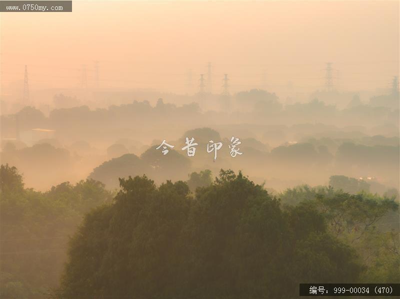 小鸟天堂_航拍,小鸟天堂,旅游民俗