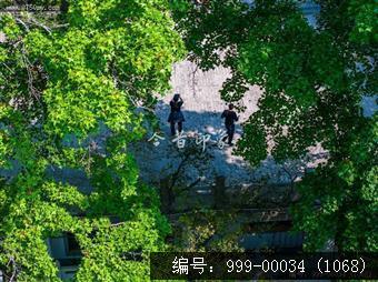 玉台寺
