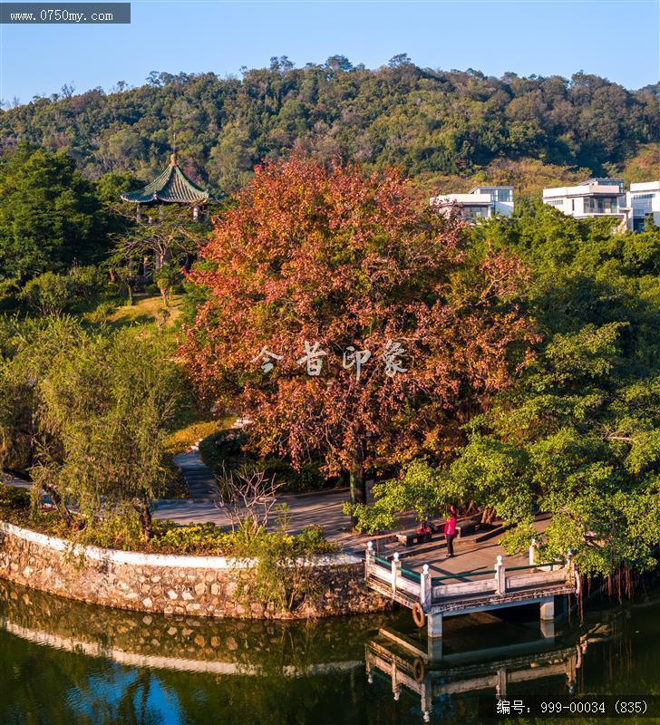 玉湖_航拍,玉湖,旅游民俗