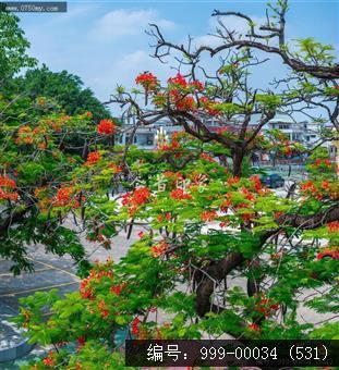 崖门