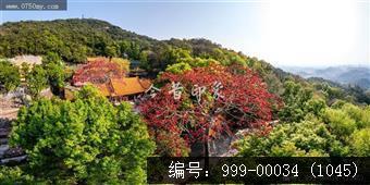 玉台寺