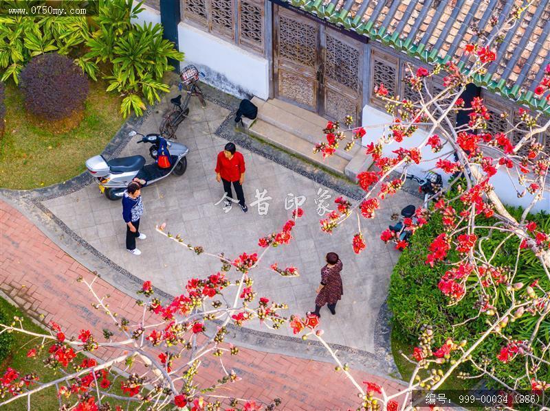 盆趣园_航拍,人居环境