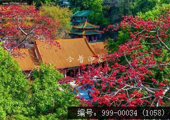 玉台寺