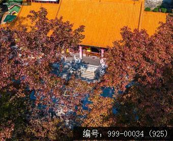 玉台寺