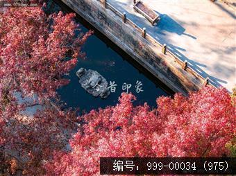 玉台寺