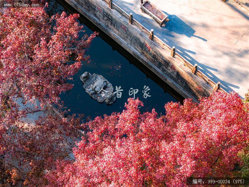 玉台寺_航拍,圭峰山,玉台寺