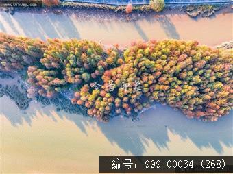 南坦