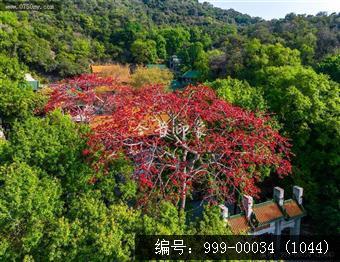 玉台寺