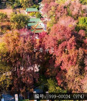 玉台寺