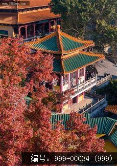 玉台寺