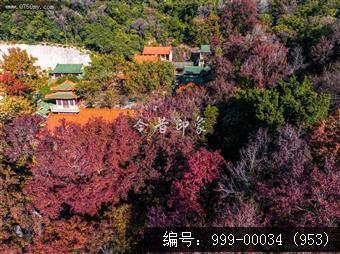 玉台寺