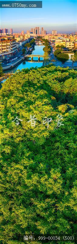 小鸟天堂_航拍,小鸟天堂,旅游民俗