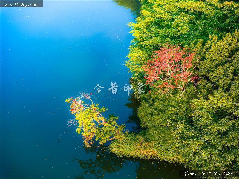 小鸟天堂_航拍,小鸟天堂,旅游民俗