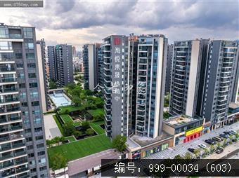 枢纽新城