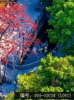 玉台寺