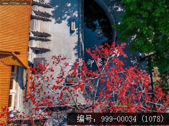 玉台寺
