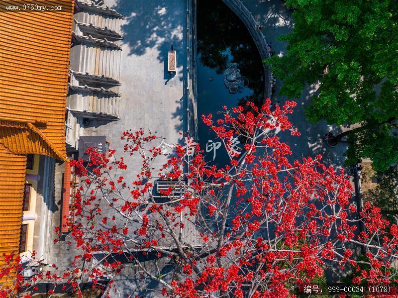 玉台寺_航拍,圭峰山,玉台寺