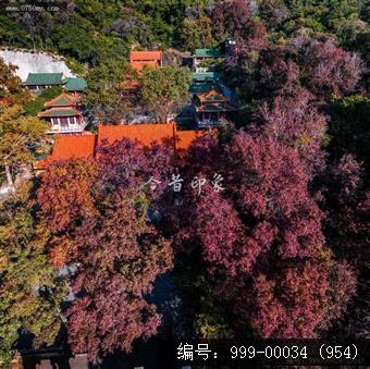 玉台寺