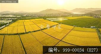沙堆镇