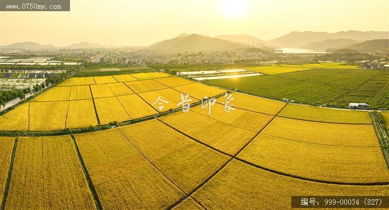 沙堆镇_航拍,美丽乡村