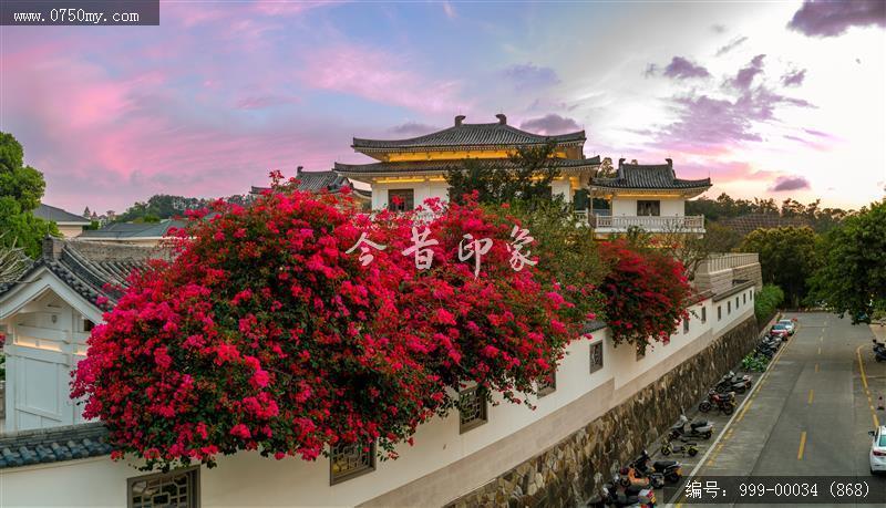 玉湖_航拍,玉湖,旅游民俗