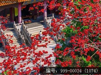 玉台寺