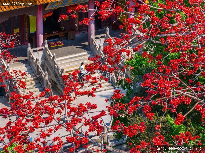 玉台寺_航拍,圭峰山,玉台寺