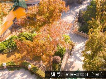 玉台寺