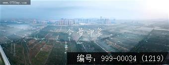柑田