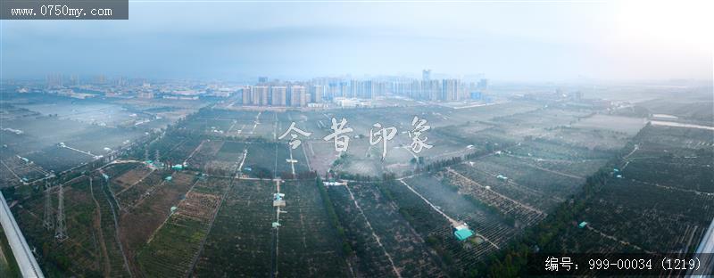 柑田_航拍,农业