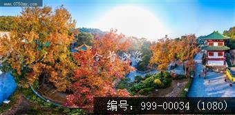 玉台寺
