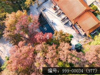 玉台寺