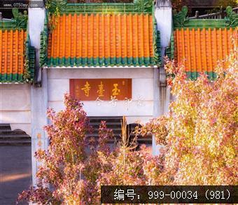 玉台寺